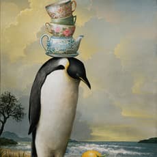 Kevin Sloan