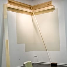 castaneda/reiman