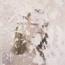 Claude Cortinovis