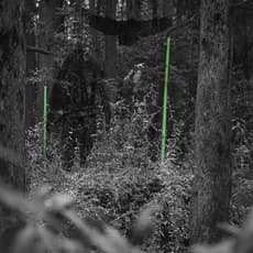 Enrique Mendez de Hoyos