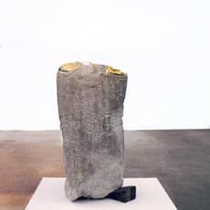 Franck Scurti