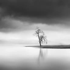 George Digalakis