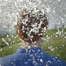 Helen Sear