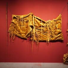 Amanda Phingbodhipakkiya