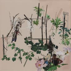 Shen Ruijun