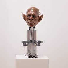 Ting-Tong Chang