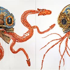 Matus Lanyi