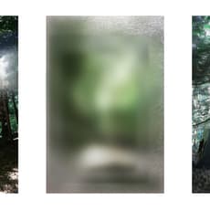 Lin Jiayue 林甲悅