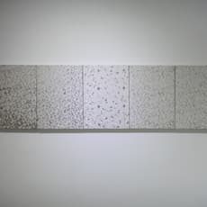 Ren Zhitian
