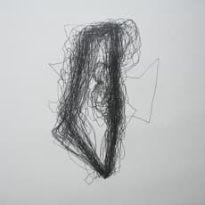 Shilpa Gupta
