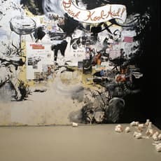 Caroline Falby
