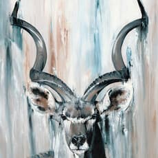 Stephanie Blaess