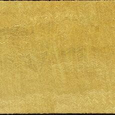 Kenny Williams Tjampitjinpa