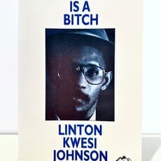Linton Kwesi johnson