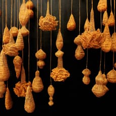 Weerapong Sansomporn