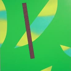 Carlos Rosales-Silva