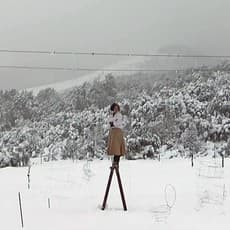 Valeria Conte Mac Donell