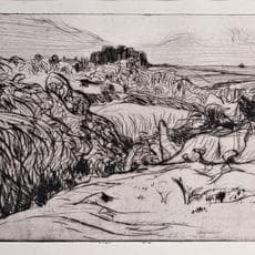 Roderic O'Conor