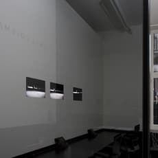 James Coleman (b. 1941)