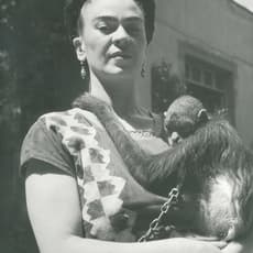 Fritz Henle