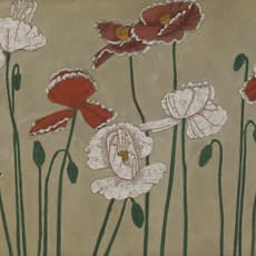 Shiguang 十光 Qiao 乔