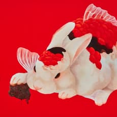 Fu Chun Tsai