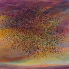 Mark Crofton Bell