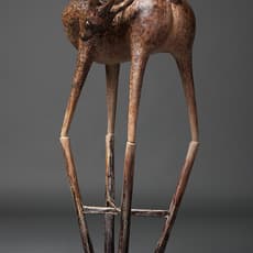 Ruo Zhang