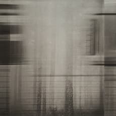 Janne Laine