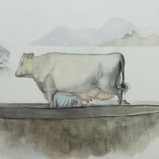 Duan Jianyu 段建宇