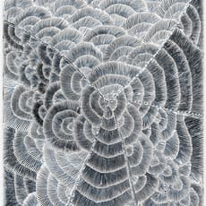 Lily Sandover