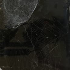 Christian Eisenberger