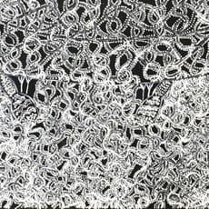 Geraldine Napangardi Granites