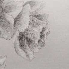 Marta de Gonzalo y Publio Pérez Prieto