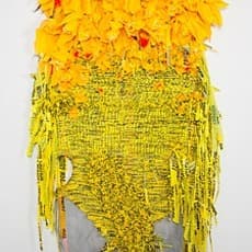 Borinquen Gallo