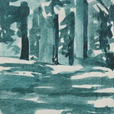 Peter Schroth