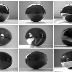 Daniel Monroy Cuevas