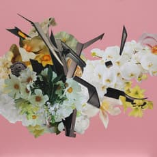 Matthew Cusick