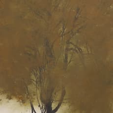Hong Zhu An