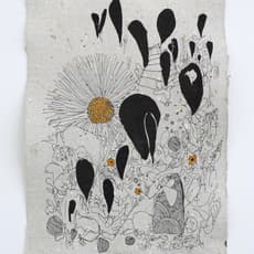 Xxavier Edward Carter