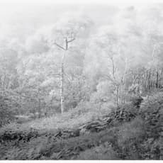 John Blakemore