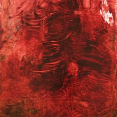 Julia Selin