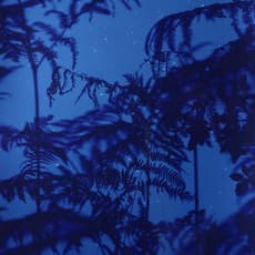 Susan Derges