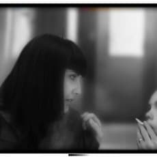 Ms. & Mr.