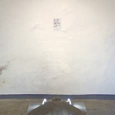 Janine Rissewyck and Nicola Mousa Bajalia II