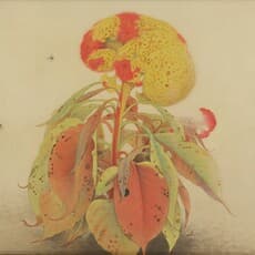 Uemura Shōkō