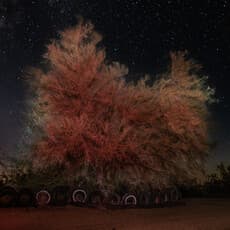 Jean-Francois Bouchard