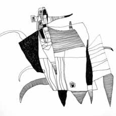 Wasswa Donald Augustine