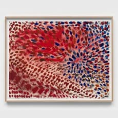 Fiona Von Furstenberg