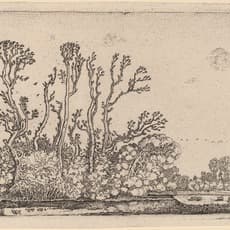 Willem Buytewech